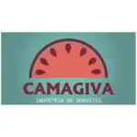 camagiva-cliente-sanity-consultoria-brasil