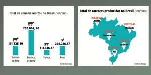 Consulta pública sobre descarte de carcaças e resíduos da pecuária