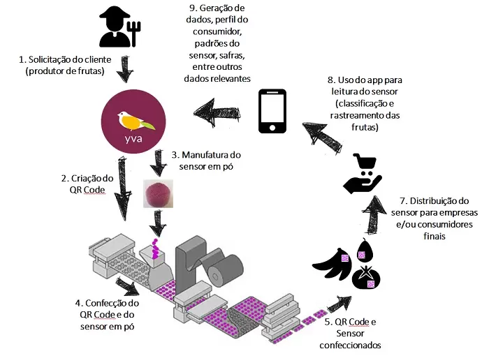 desperdicio-de-alimentos-nanossensor-acusa-quando-frutas-estao-maduras