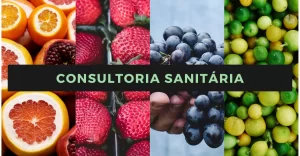 Entenda o papel da consultoria na área sanitária de alimentos