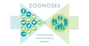 Zoonoses de origem alimentar, doenças veiculadas por alimentos