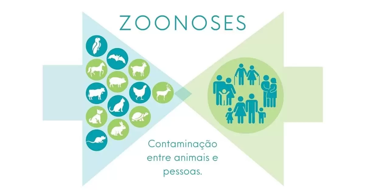zoonoses-de-origem-alimentar-doencas-veiculadas-por-alimentos